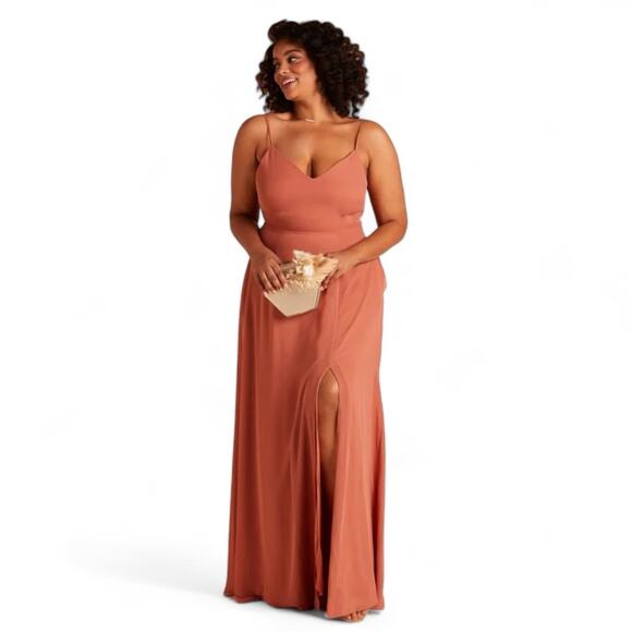 Birdy Grey Dresses & Skirts - Birdy Grey Terracotta Maxi Dress